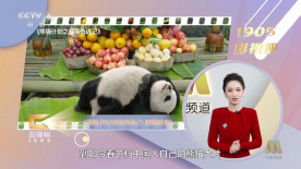 色www视频永久免费
